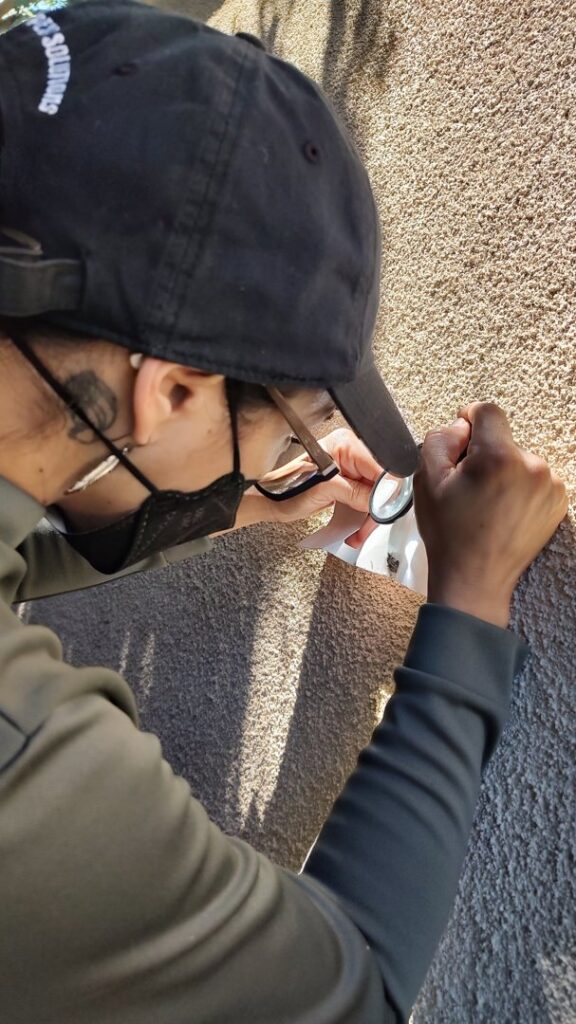 A pest control technician from Sophie's Pest Solutions in Oakland, CA, meticulously inspecting a wall with a magnifying glass.