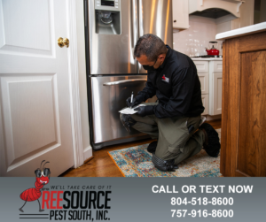 A pest control technician performing an inspection in a kitchen for ReeSource Pest South, Inc. in Hampton, VA