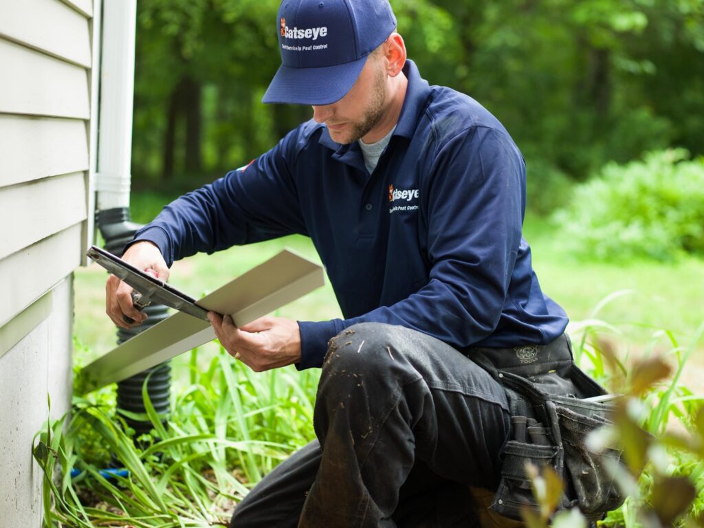 A Catseye Pest Control technician installing an exclusion barrier on a residential home in Hartford, CT.