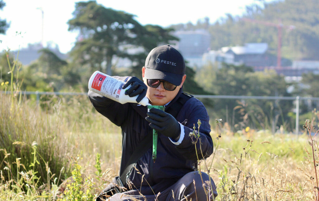 A Pestec technician preparing a pest control treatment in an outdoor grassy area in San Francisco, CA.