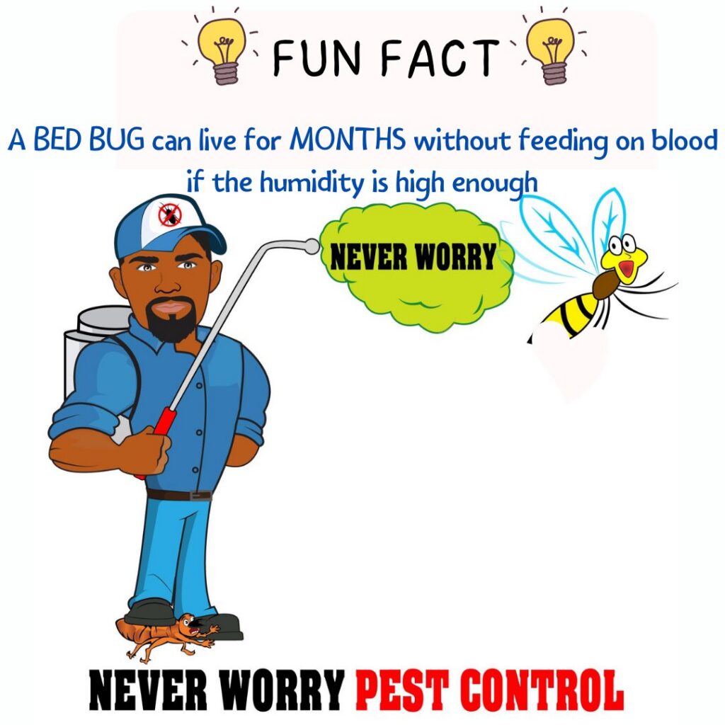 A Never Worry Pest Control technician servicing a residential property in Broadview, IL.