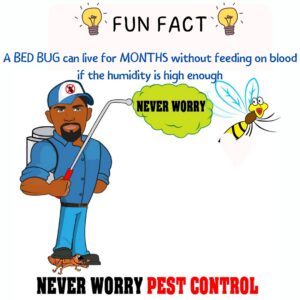 A Never Worry Pest Control technician servicing a residential property in Broadview, IL.