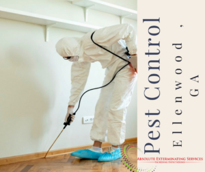 A pest control technician in a hazmat suit spraying along a baseboard for Absolute Exterminating Services in Ellenwood, GA.