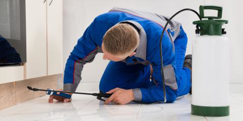 A pest control technician spraying a baseboard for pest treatment at Arrow Pest Control Inc. in Lincoln, NE.