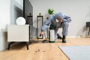 A pest control technician spraying along a baseboard with dead roaches visible for Venum Pest Solutions in Fayetteville, NC.