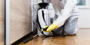 A pest control technician in protective gear spraying along a baseboard in a home by Snaps Pest Control in Birmingham, AL.