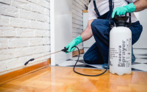 A pest control technician spraying along a baseboard inside a home for Wilkinson Pest Control in Nampa, ID.