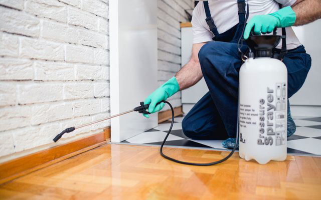 A pest control technician spraying along a baseboard inside a home for Wilkinson Pest Control in Nampa, ID.