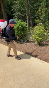 A pest control technician from Birmingham Pest & Mosquito Control applying mosquito treatment to bushes and ground cover in Birmingham, AL.