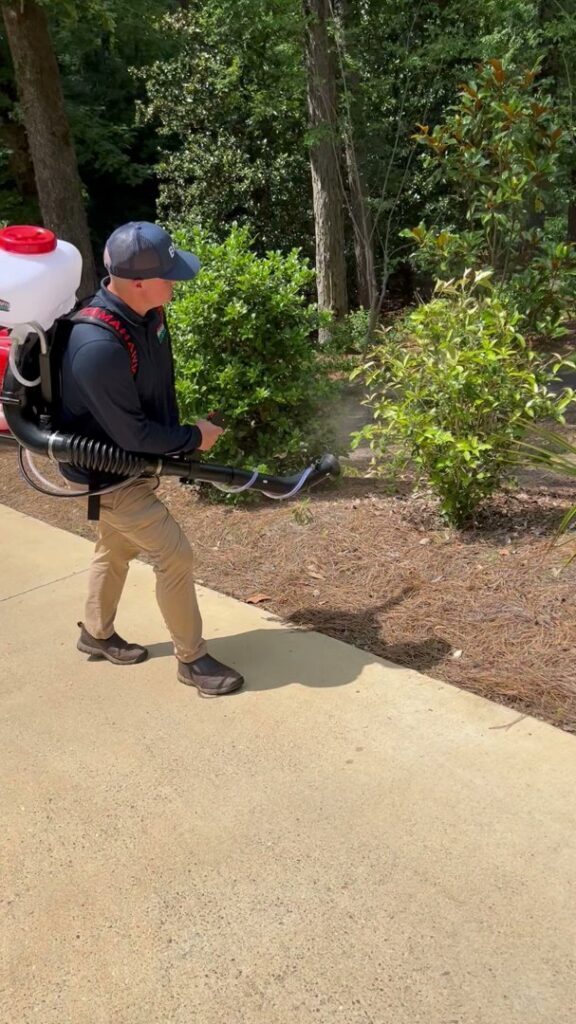 A pest control technician from Birmingham Pest & Mosquito Control applying mosquito treatment to bushes and ground cover in Birmingham, AL.
