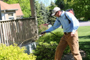 A BOGO Pest Control technician spraying bushes around a residential property for pest control in Wayzata, MN.