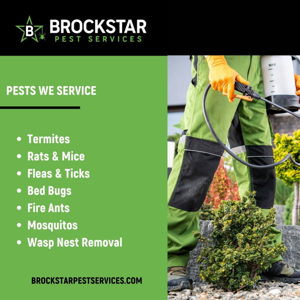 A pest control technician from BrockStar Pest Services spraying bushes to control pests in Austin, TX.