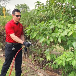 A Bug Busters Pest Control technician spraying bushes for pest treatment at a property in San Antonio, TX.