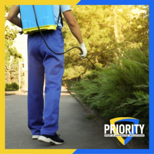 A pest control technician from Priority Pest & Mosquito spraying bushes for insect control in Oklahoma City, OK.
