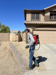 A C4 Pest Solutions technician applying pest control treatment with a backpack sprayer outside a home in Wittmann, AZ.