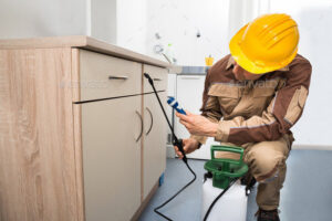 A pest control technician in a hard hat spraying under kitchen cabinets, performing a pest control service for Home Solutions Pest Control in San Antonio, TX.