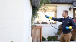 A Hawx Pest Control technician spraying the eaves of a house to prevent pests in San Antonio, TX.