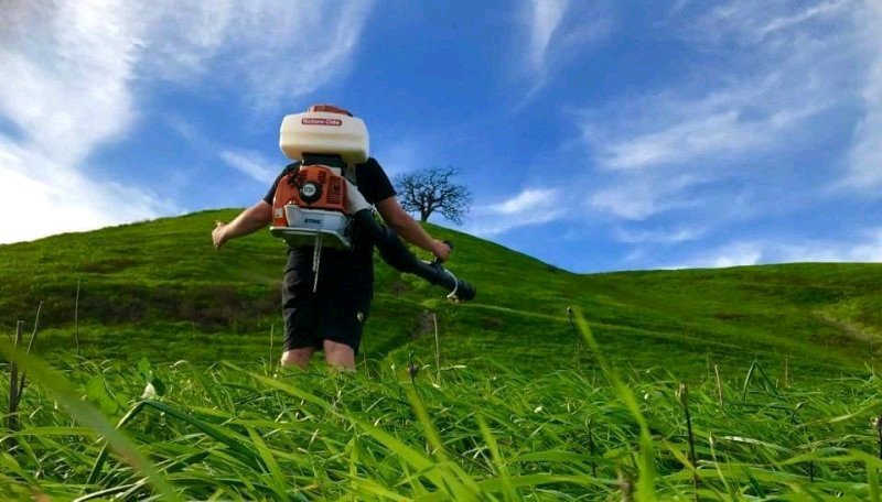A pest control technician using a backpack sprayer in a grassy field for outdoor treatment by Dominion Pest Control LLC in Lancaster, PA.