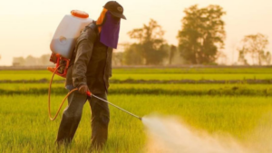 A pest control technician from Pest Borders llc spraying a field with pesticides in Mesa, AZ