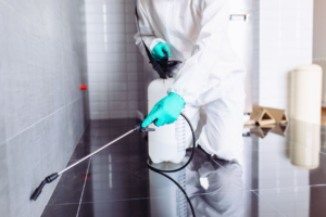 A pest control technician in protective gear spraying along a floor and wall junction for Economy Pest Control Inc in Annapolis, MD.