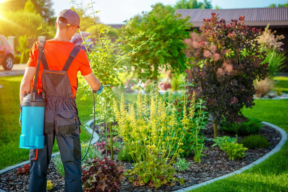 A pest control technician from Land Shark Services, LLC spraying plants in a garden in Williston, ND.