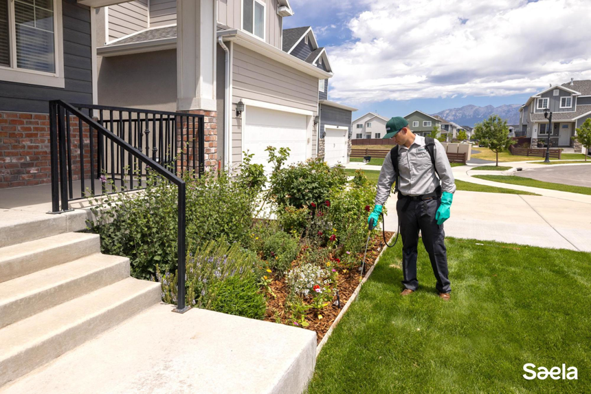 A Saela Pest Control technician spraying around a garden bed next to a house in Hubbard, OR.