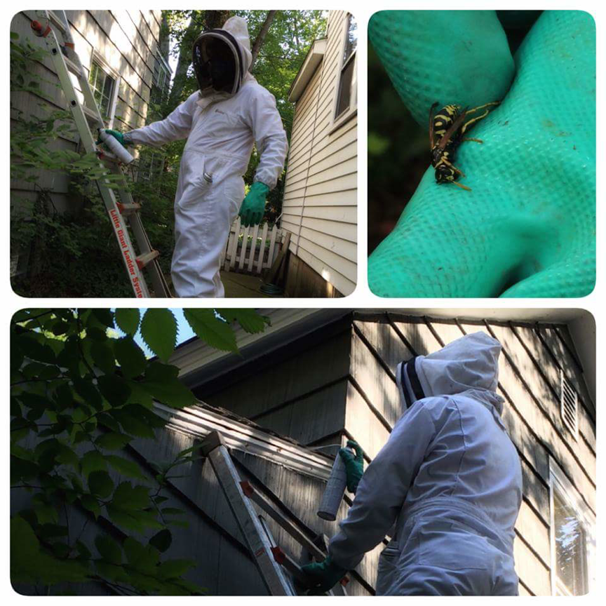 A pest control technician in a protective suit spraying a house for pests at Advanced Exterminator in Warren, MI.