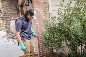 A pest control technician spraying the foundation of a house for pest prevention by AmeriPest Solutions, LLC in Springfield, MO.