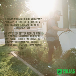 A Pallas Pest Control technician spraying the foundation of a house for pest control in Saint George, UT.