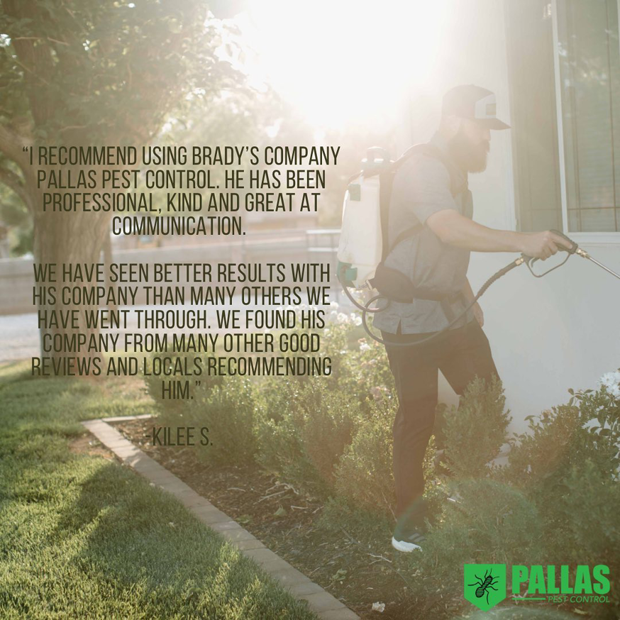A Pallas Pest Control technician spraying the foundation of a house for pest control in Saint George, UT.