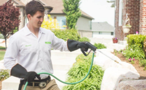 A pest control technician from EDGE - The Service Company spraying the perimeter of a house in Bridgeview, IL.