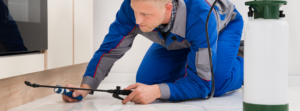 A pest control technician spraying indoors for pest treatment at a property serviced by Affordable Pest & Mosquito Solutions in Flint, MI.