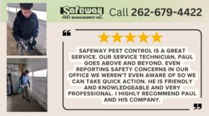 A Safeway Pest Management technician spraying for pest control inside a building in Muskego, WI.