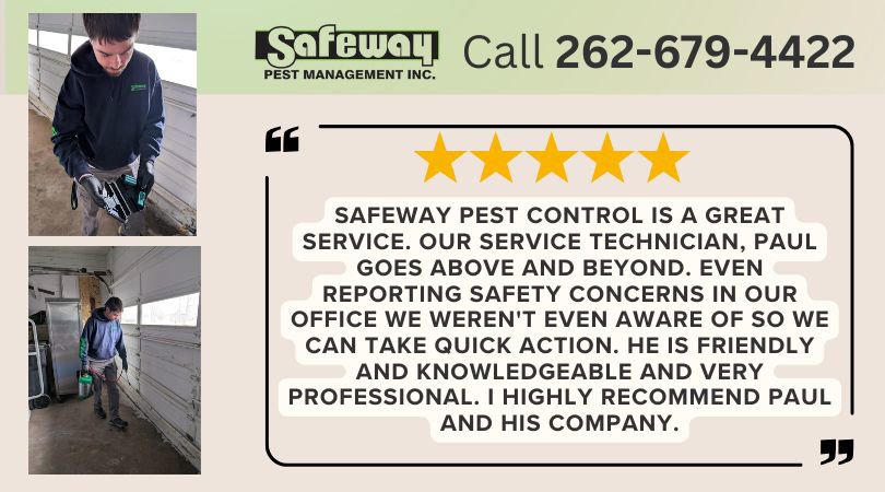 A Safeway Pest Management technician spraying for pest control inside a building in Muskego, WI.