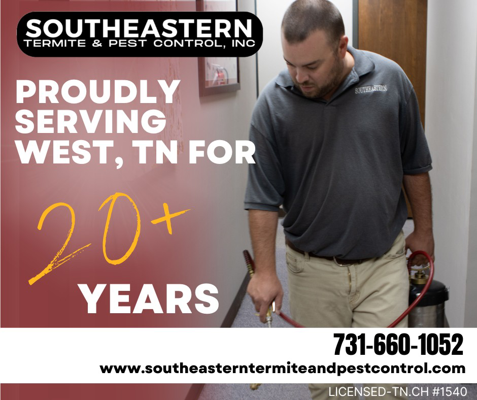 A pest control technician spraying indoors for pest control at Southeastern Termite & Pest Control in Lake Worth, FL