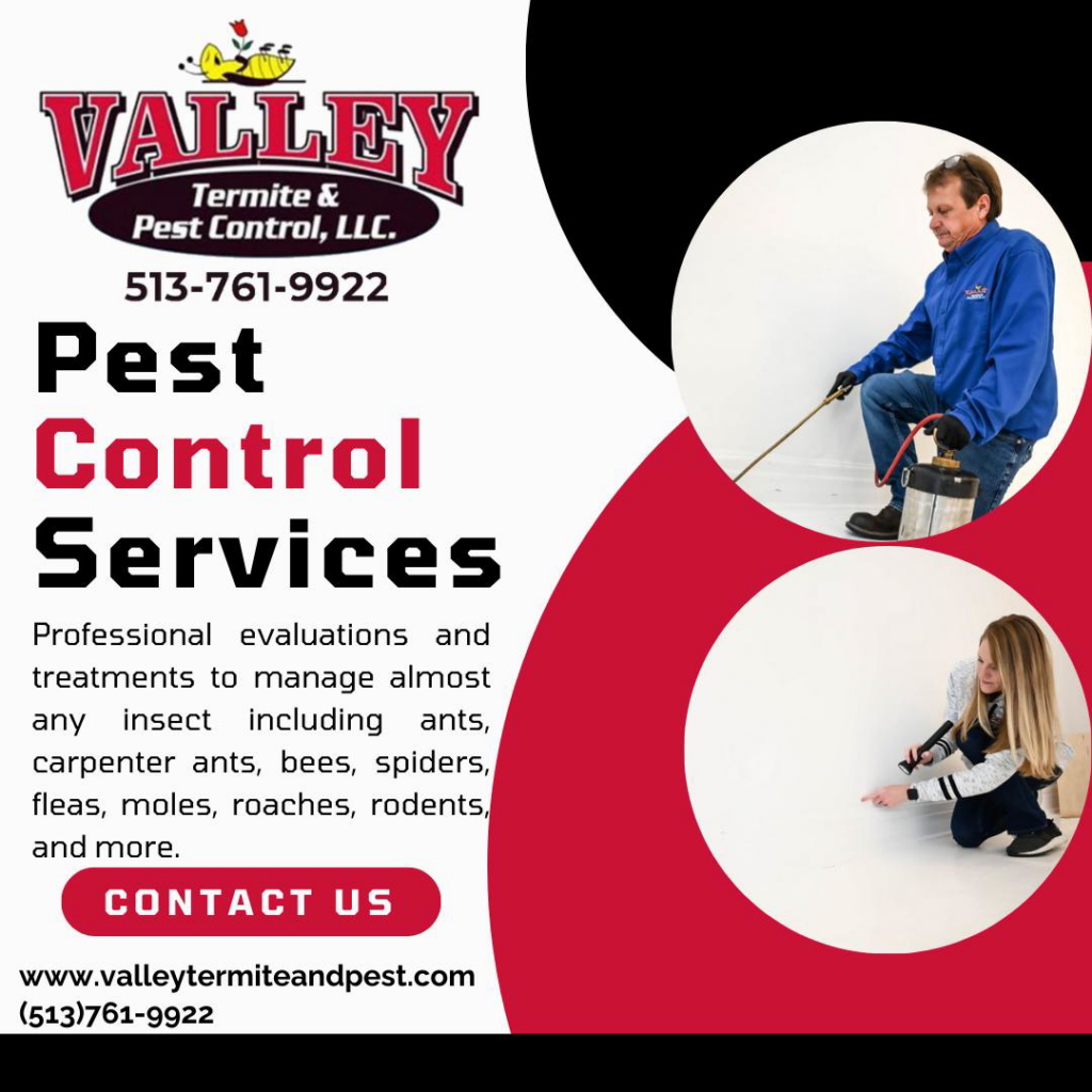A pest control technician spraying indoors for pest treatment at Valley Termite & Pest Control in Cincinnati, OH.