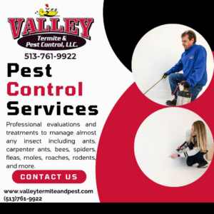 A pest control technician spraying indoors for pest treatment at Valley Termite & Pest Control in Cincinnati, OH.