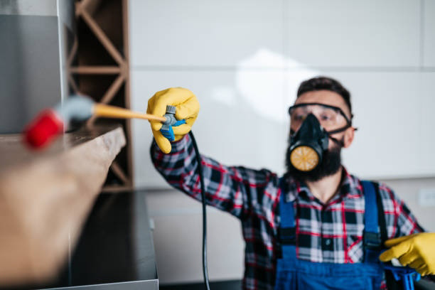 A pest control technician wearing a respirator and gloves, spraying for pests in a kitchen at Ares Pest Control in Biddeford, ME.