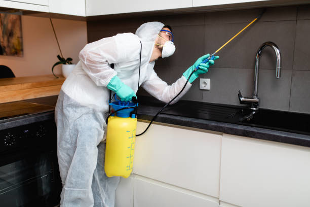 A pest control technician in a protective suit spraying for pests in a kitchen at Athens Exterminating Inc. in Athens, GA
