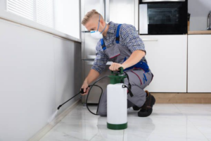 A pest control technician wearing a mask spraying along a kitchen wall for Central Iowa Pest Control Services Inc in West Des Moines, IA