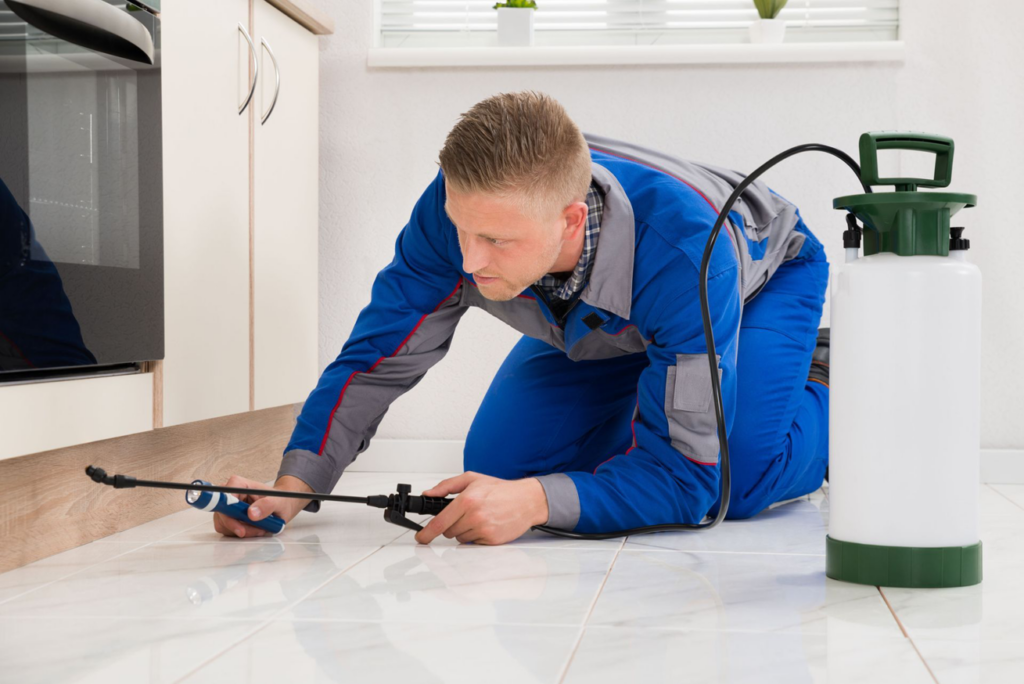 A pest control technician in a blue uniform spraying along a kitchen floor for Economy Pest Control Inc in Annapolis, MD.