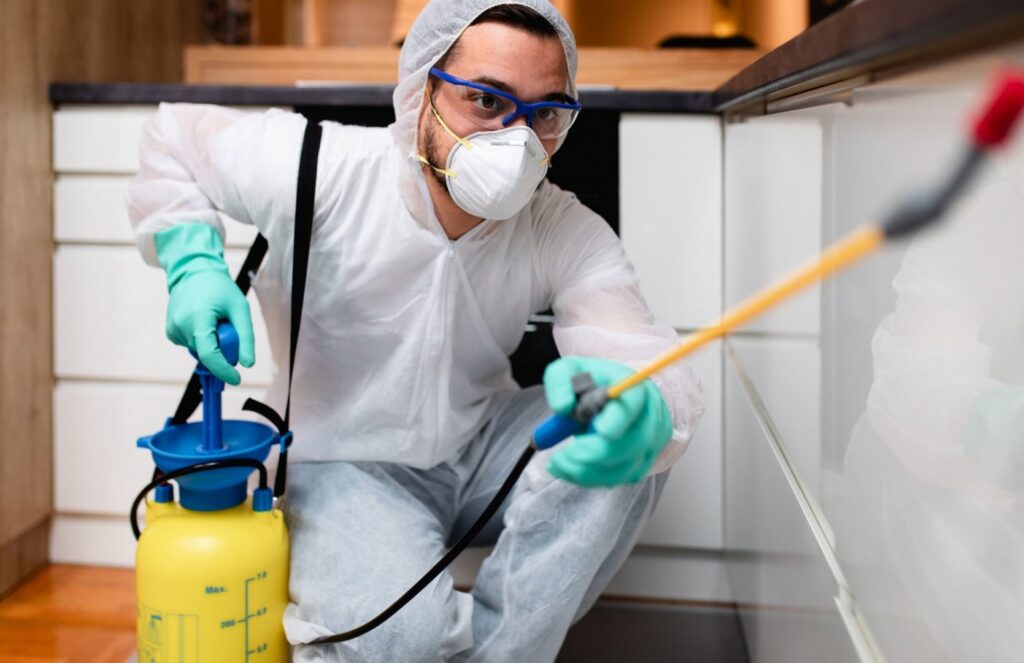 A pest control technician in protective gear spraying inside a kitchen cabinet area for The Queen Pest Control Co in Charlotte, NC.