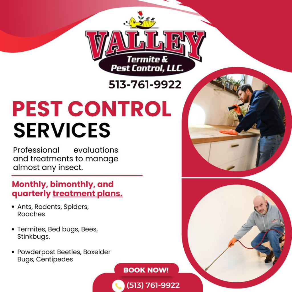 A pest control technician spraying under a kitchen counter for Valley Termite & Pest Control in Cincinnati, OH.