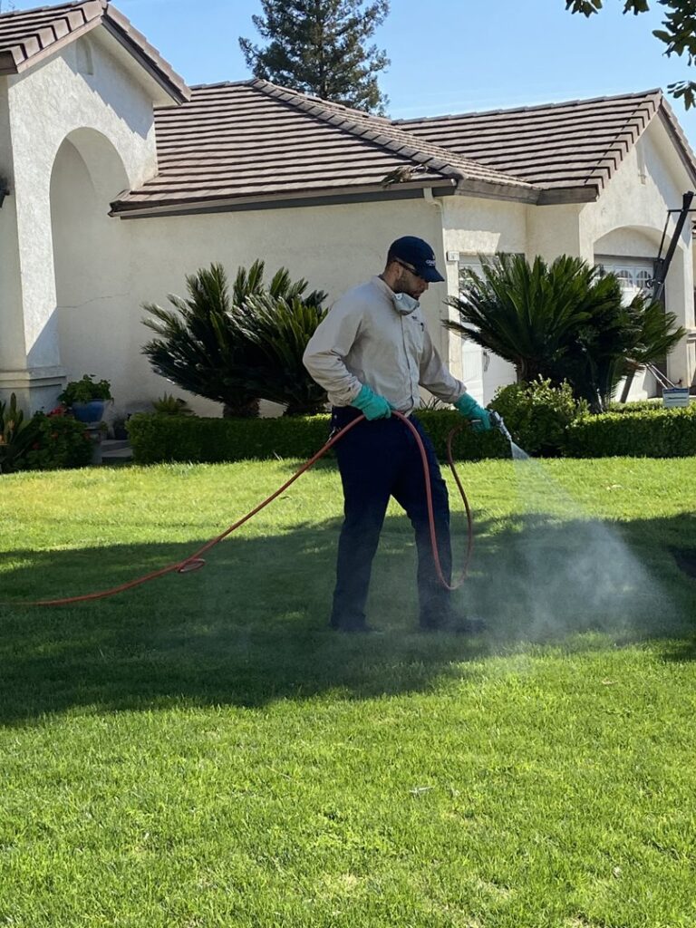 A Crazy Ant Pest Control technician spraying a residential lawn for pest treatment in Fresno, CA.