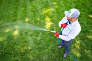 A Natura Pest Control technician spraying a residential lawn as part of a pest control service in Boise, ID.