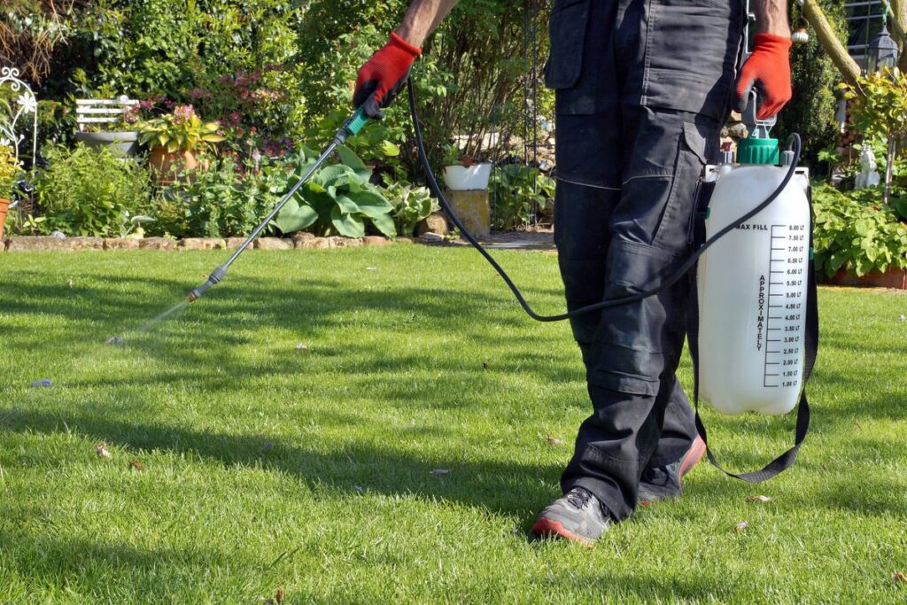 A pest control technician from Norman Pest Control spraying a lawn with a backpack sprayer in Norman, OK
