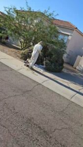 A pest control technician in a protective suit spraying an outdoor shrub at Bye Bye Bugs Pest Control in Indianapolis, IN