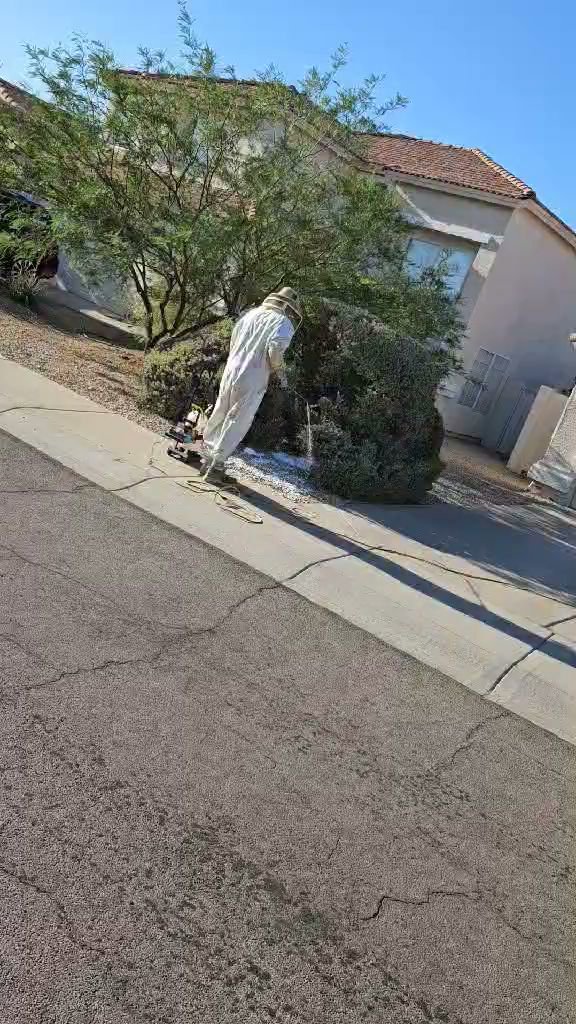 A pest control technician in a protective suit spraying an outdoor shrub at Bye Bye Bugs Pest Control in Indianapolis, IN
