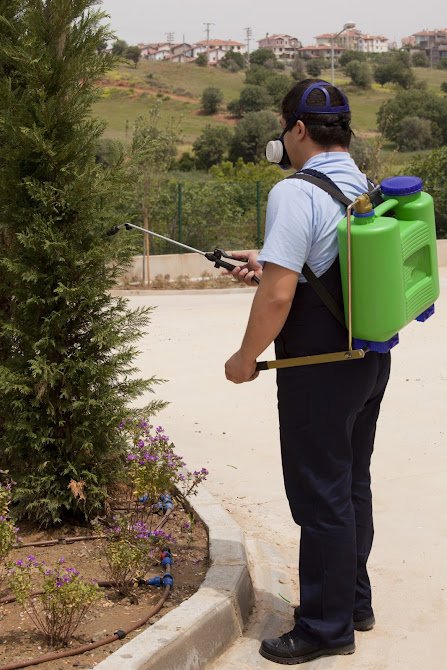 A pest control technician spraying plants outdoors for pest management by Best Pest Control Services in Corpus Christi, TX.