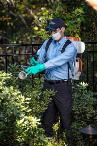 A HomeTeam Pest Defense technician spraying shrubs for pest control around a property in Longwood, FL.